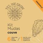 Kit Mudas | Couve